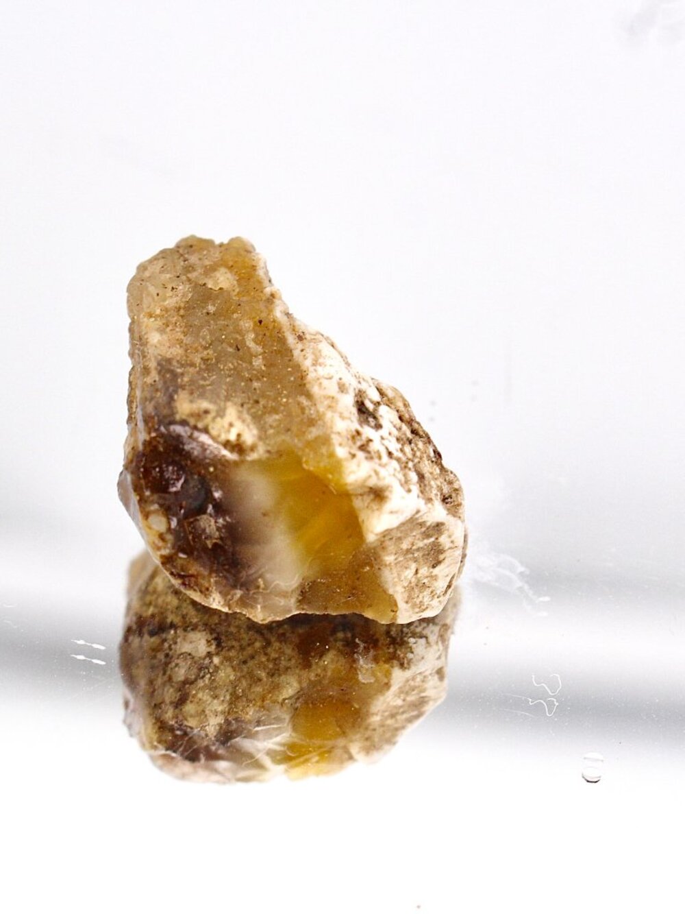 Virgin Valley Opal Petrified Wood Log Limb Cast Raw Rough Specimin Nevada 5.7g